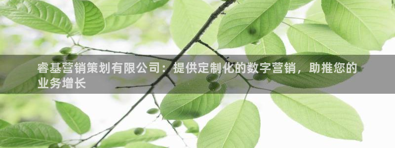 9965必赢棋官方网站怎么样