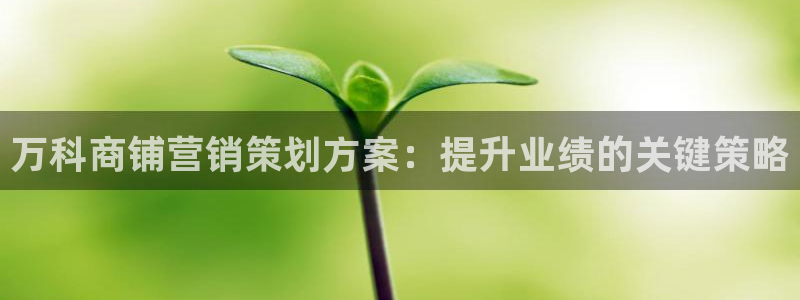 必赢国际游戏技巧