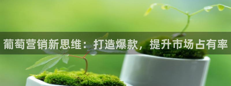 必赢平台官方网站