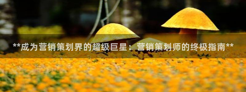 必赢官网网站入口下载