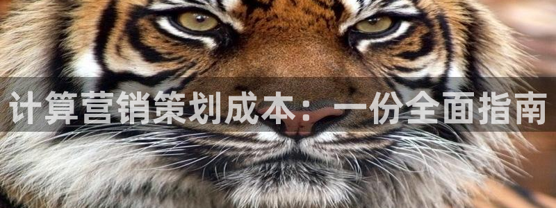 必赢官网app下载苹果版