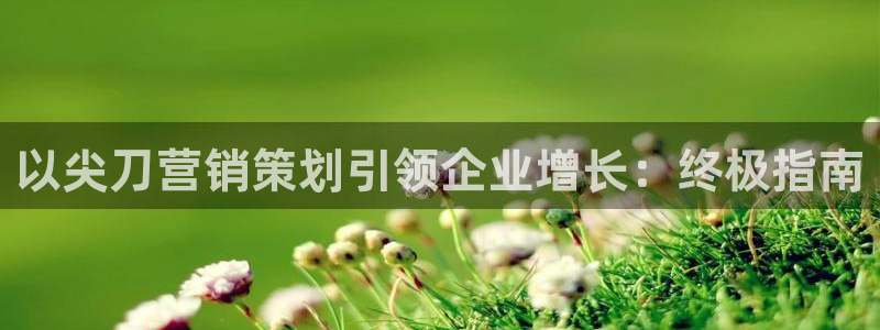 必赢国际437怎么样