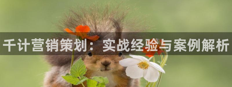 必赢国际437官方简介