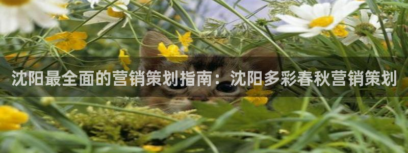 必赢7231
