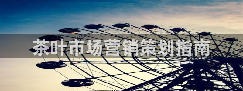 必赢网怎么打不开了