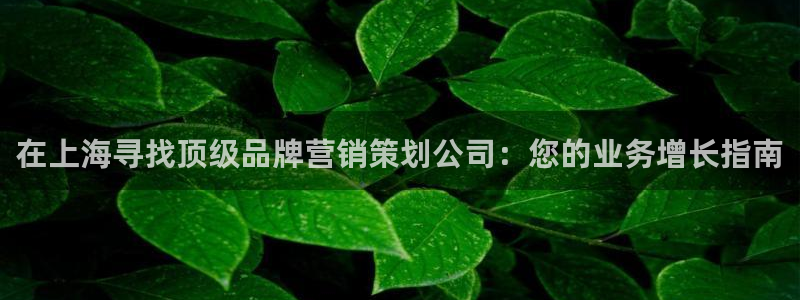 必赢最新