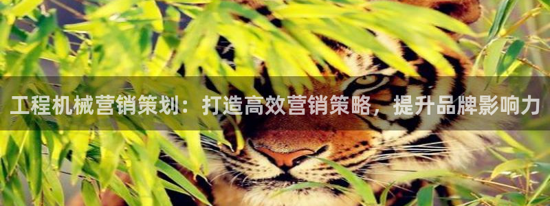 必赢app客户端下载官网手机版