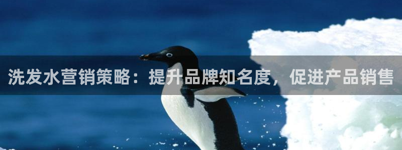 必赢公司