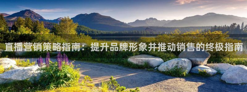必赢这个软件怎么样啊