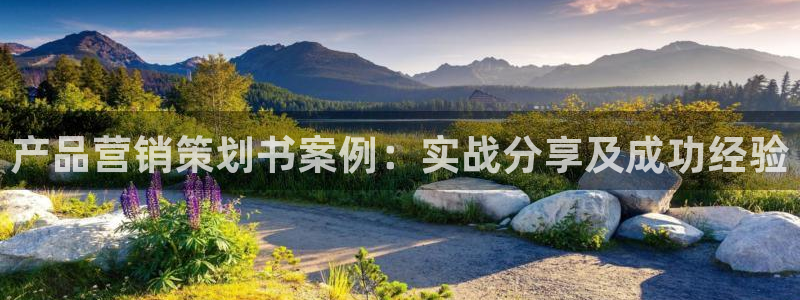 必赢棋盘官网版