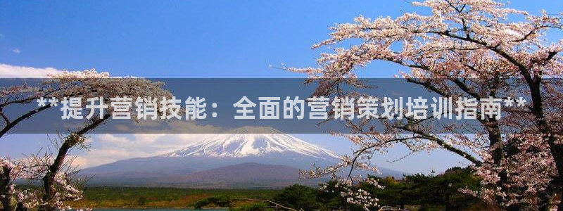必赢平台网