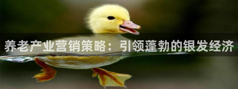 必赢国际app下链接