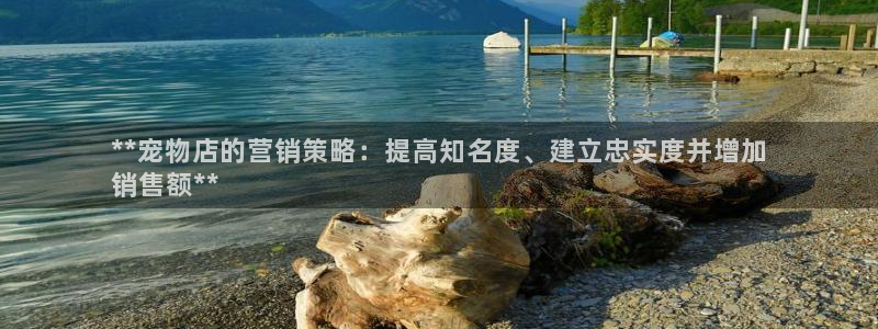 必赢app官方网站