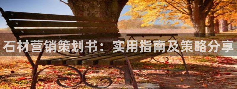 9965必赢棋官方网站怎么样