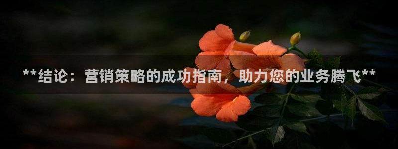 必赢官网app下载安装