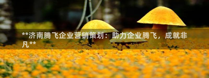 必赢这个平台怎么样知乎