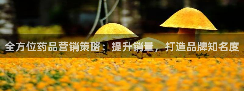 必赢国际a600典ccapp