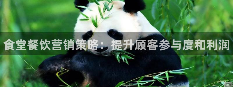 必赢平台怎么样