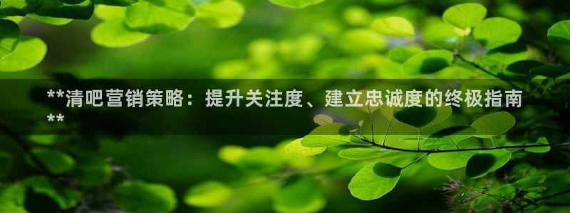 必赢客软件