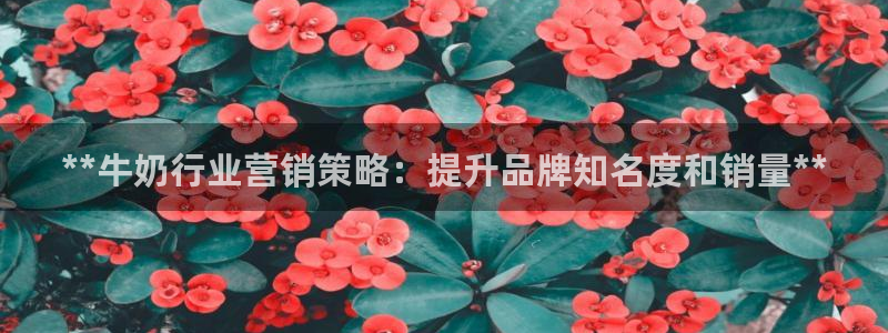 必赢72886是黑网站么