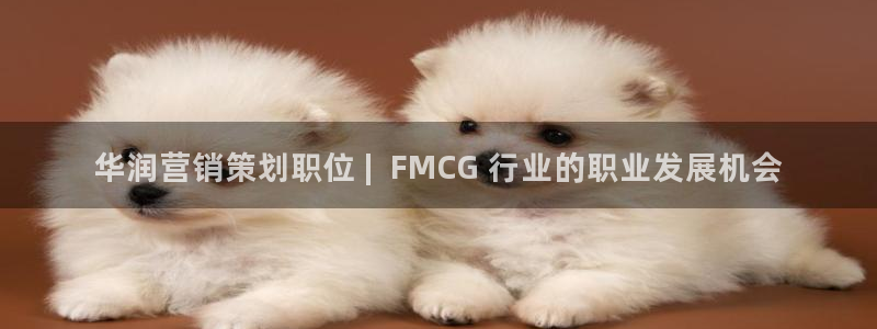 必赢72886是黑网站么