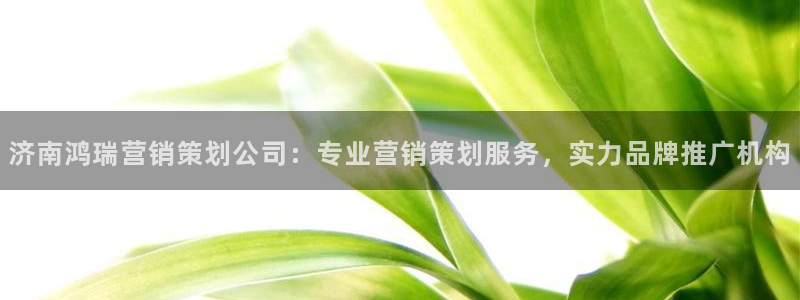 必赢国际437官方简介：济南鸿