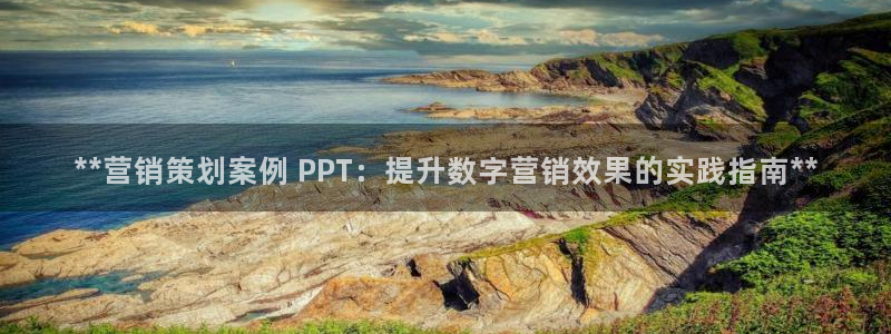 必赢网站网址是多少