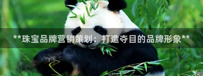 必赢3003 会员账号