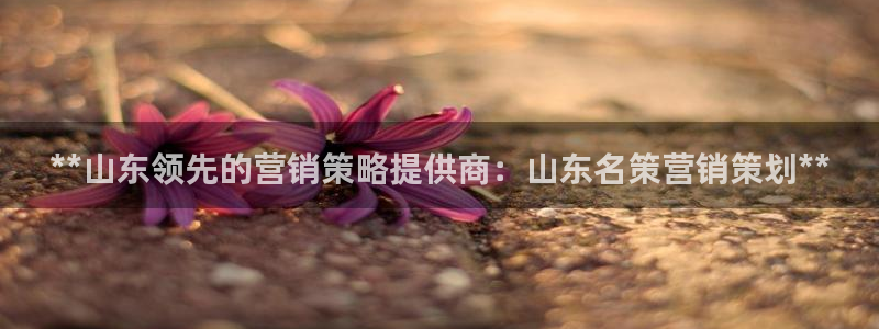 必赢下载安卓版下载：**山东领